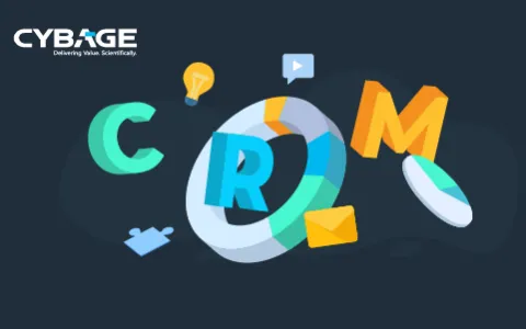 Cybage Helped Consultancy With CRM 