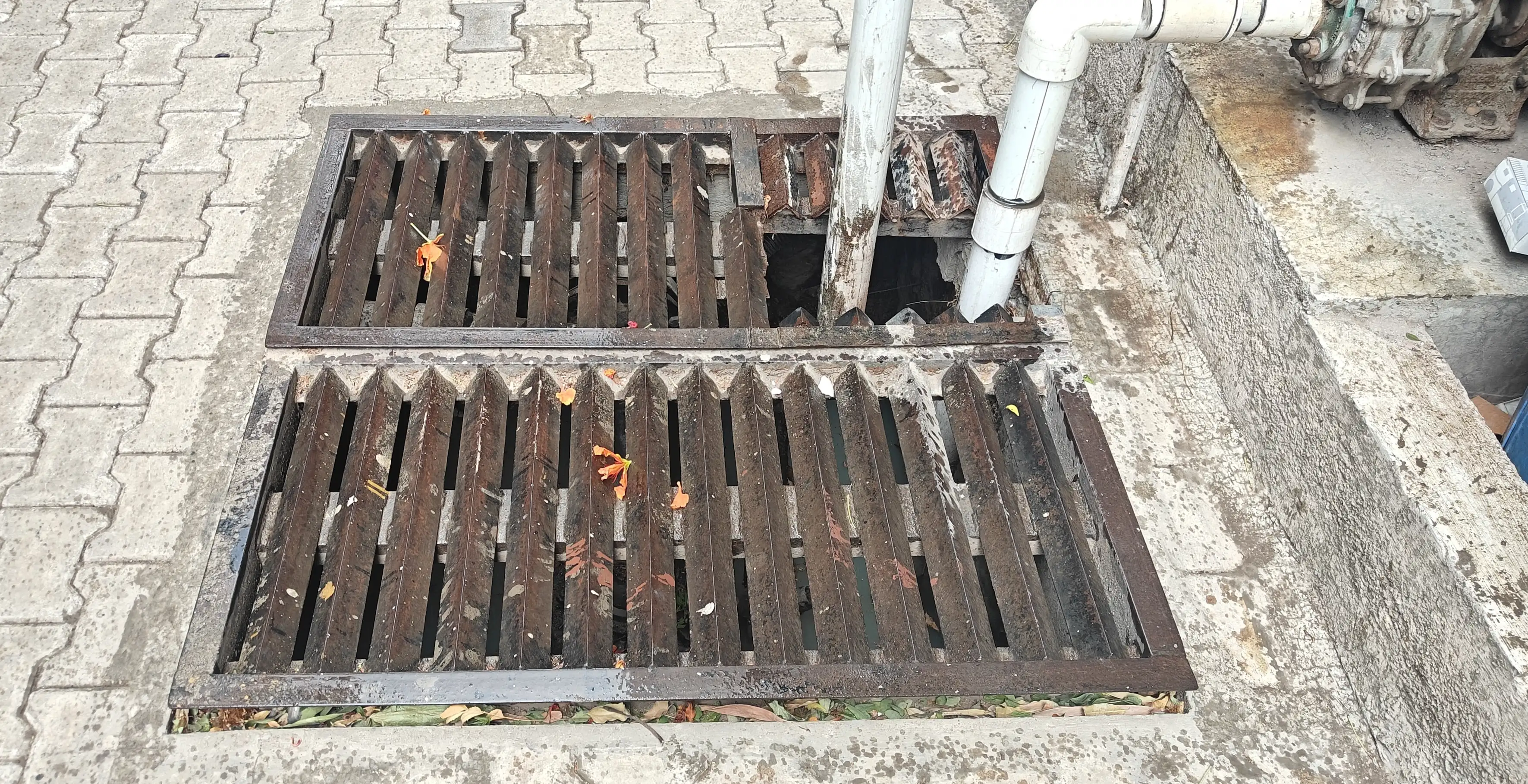 Rainwater Harvesting