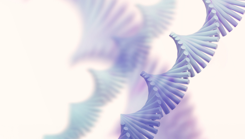 Thumbnail 480x272.webp